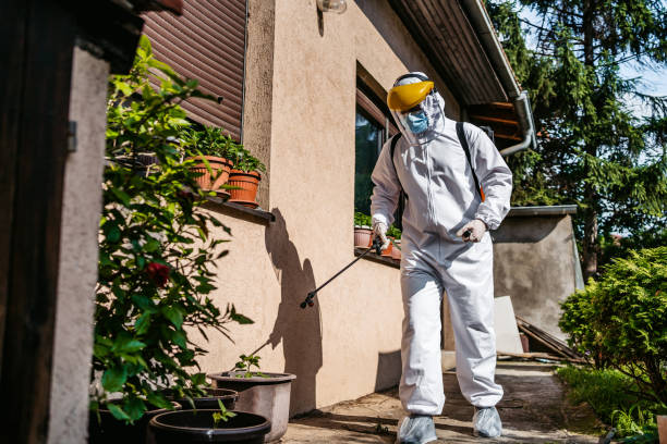 Reliable Seabrook, TX Pest Control Solutions