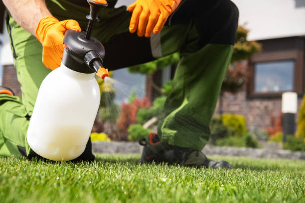 Best Affordable Pest Control Services  in Seabrook, TX