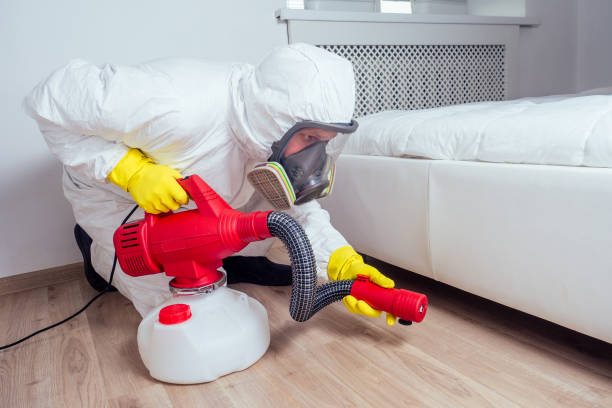 Best Bed Bug Extermination  in Seabrook, TX