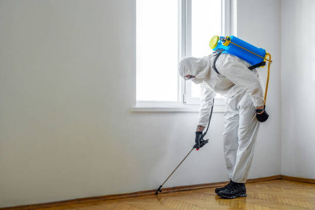 Best Commercial Pest Control Services  in Seabrook, TX