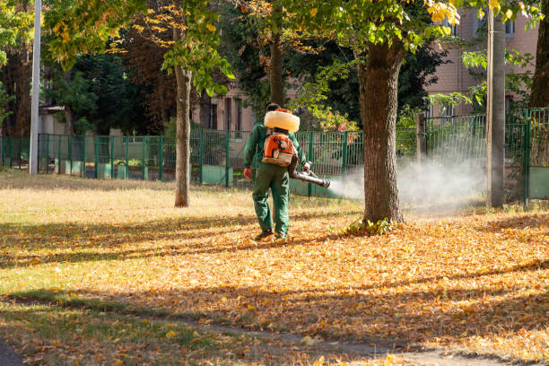 Best Cockroach Control Services  in Seabrook, TX