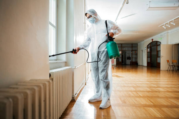 Best Insect Control  in Seabrook, TX